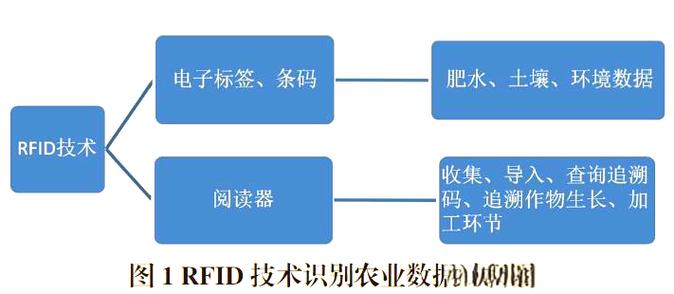 物联网技术引领设施农业革新,助推智慧农业发展